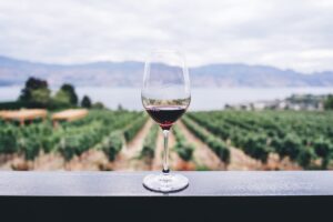 ideas regalo malaga vino