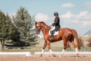 montar a caballo en Zaragoza